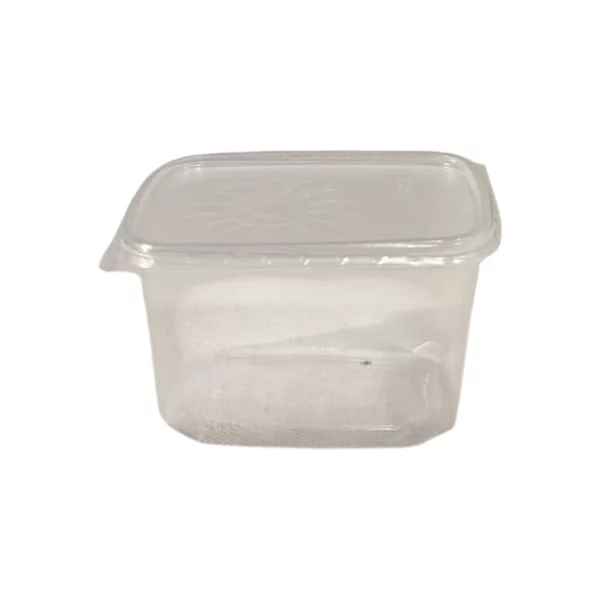 SALAD BOXX 300cc incl. deks. 250st.Rechthoek