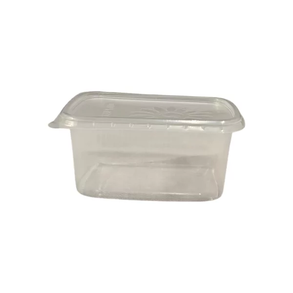 SALAD BOXX 250cc incl.deks. 250st.Rechthoek