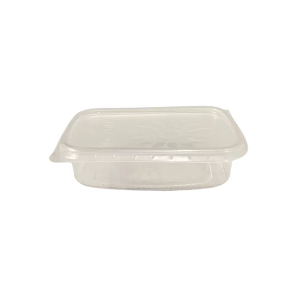 SALAD BOXX 125cc incl. deks. 250st.Rechthoek