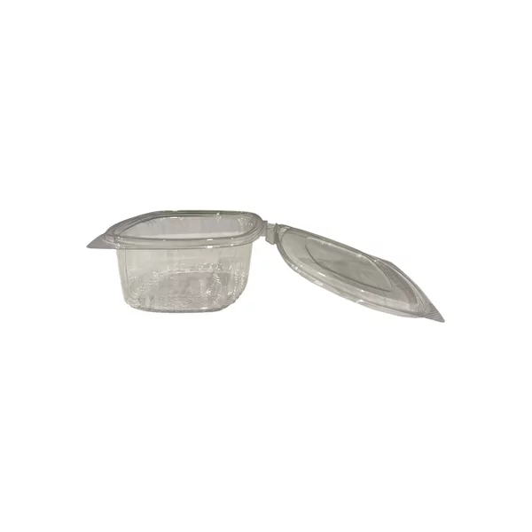 Saladebox SL500TL 500cc 450stuks